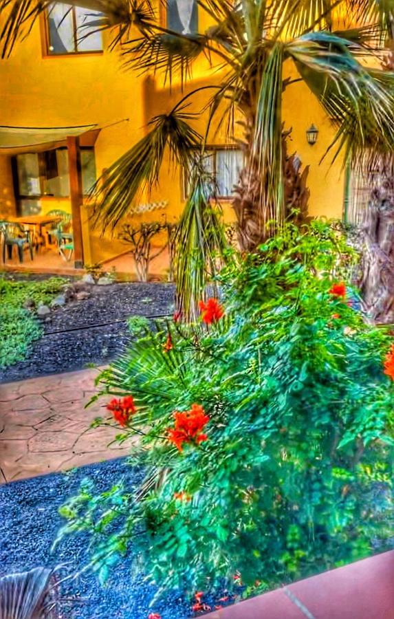 Paradise House Corralejo Eksteriør billede
