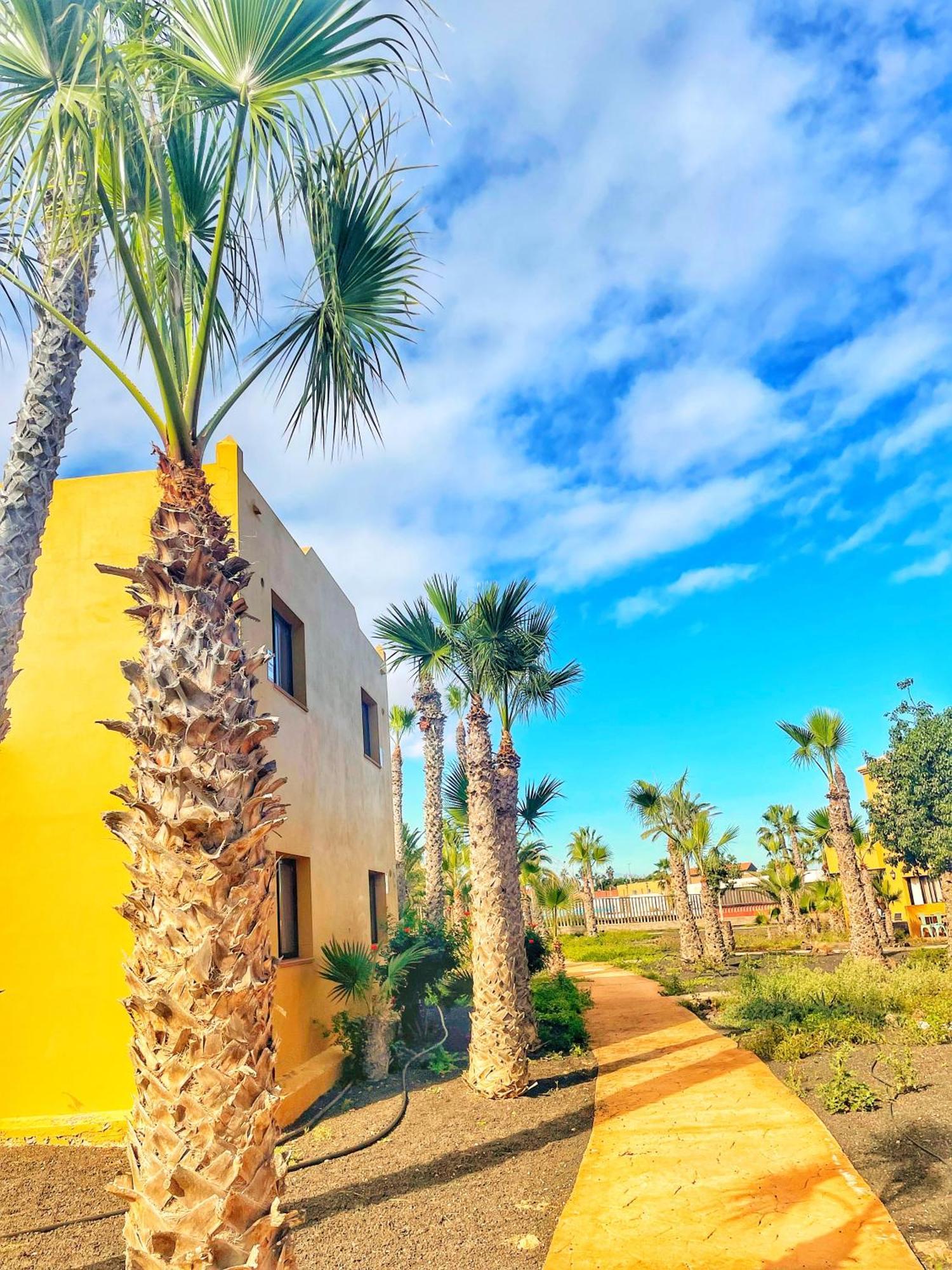 Paradise House Corralejo Eksteriør billede